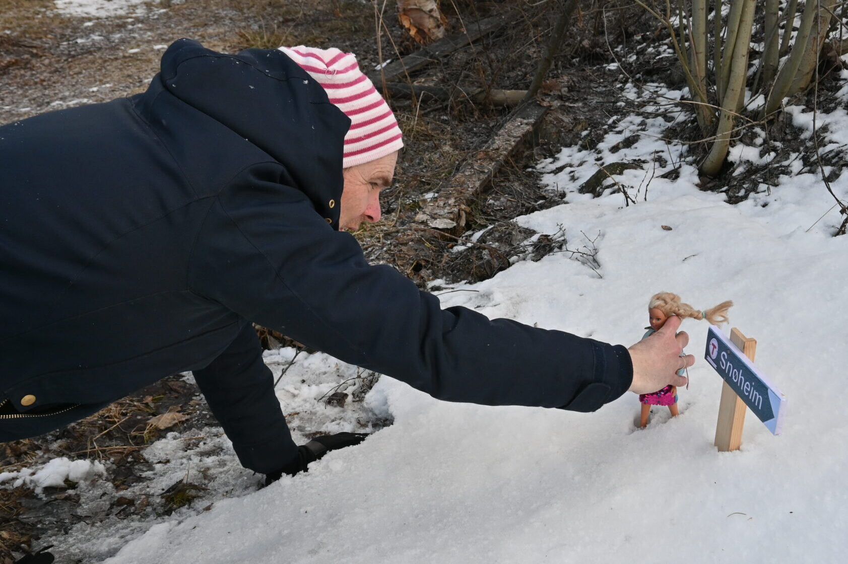 Reiny oppsummerer stortingsmeldinga om villrein